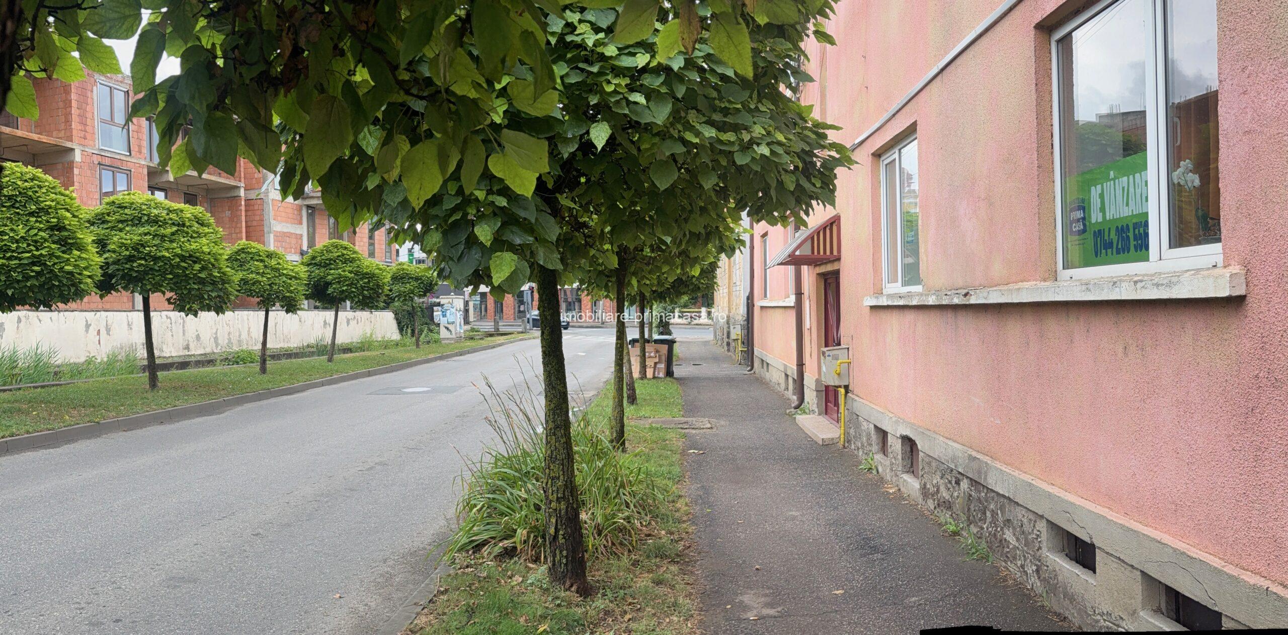 Zona Parcul Regina Maria! Apartament 3 camere la vilă, parter, beci si garaj, curte privata! - imagine 23