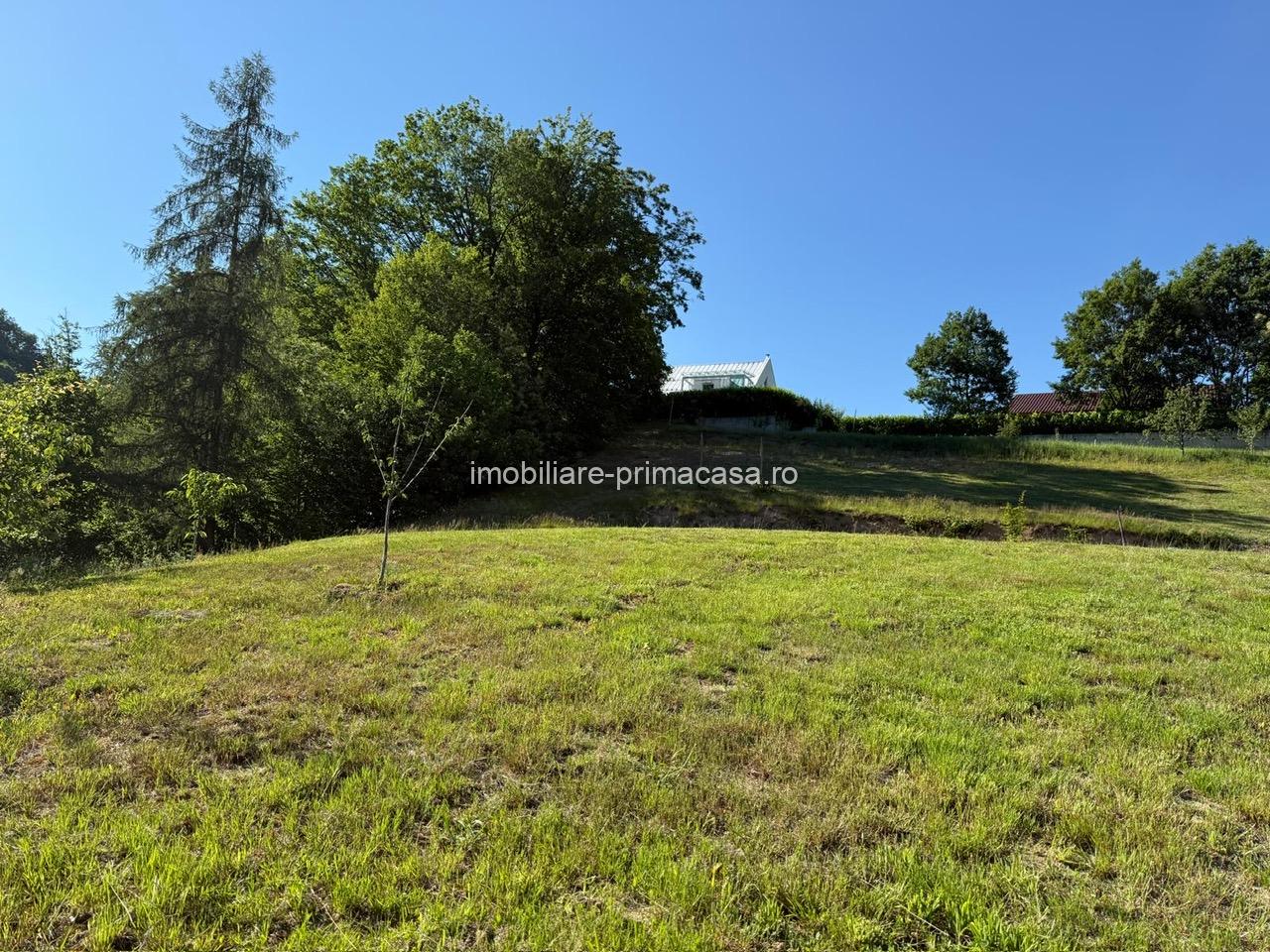 Valea Rosie, teren intravilan 3434mp, langa padure. - imagine 10