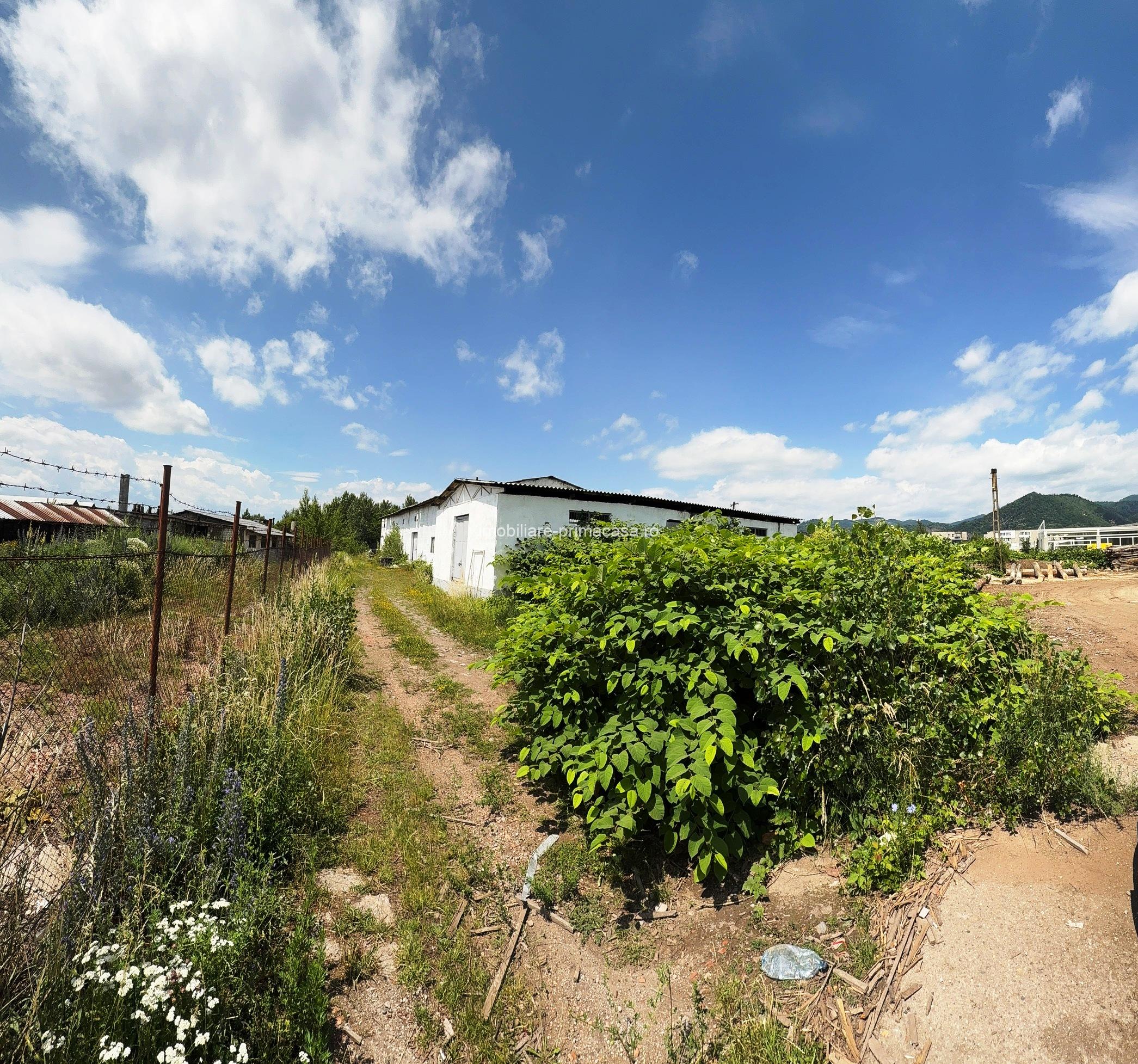 Hală industrială + teren 2.716 mp de vânzare în Baia Mare | Zonă industrială | 349.000 € - imagine 13