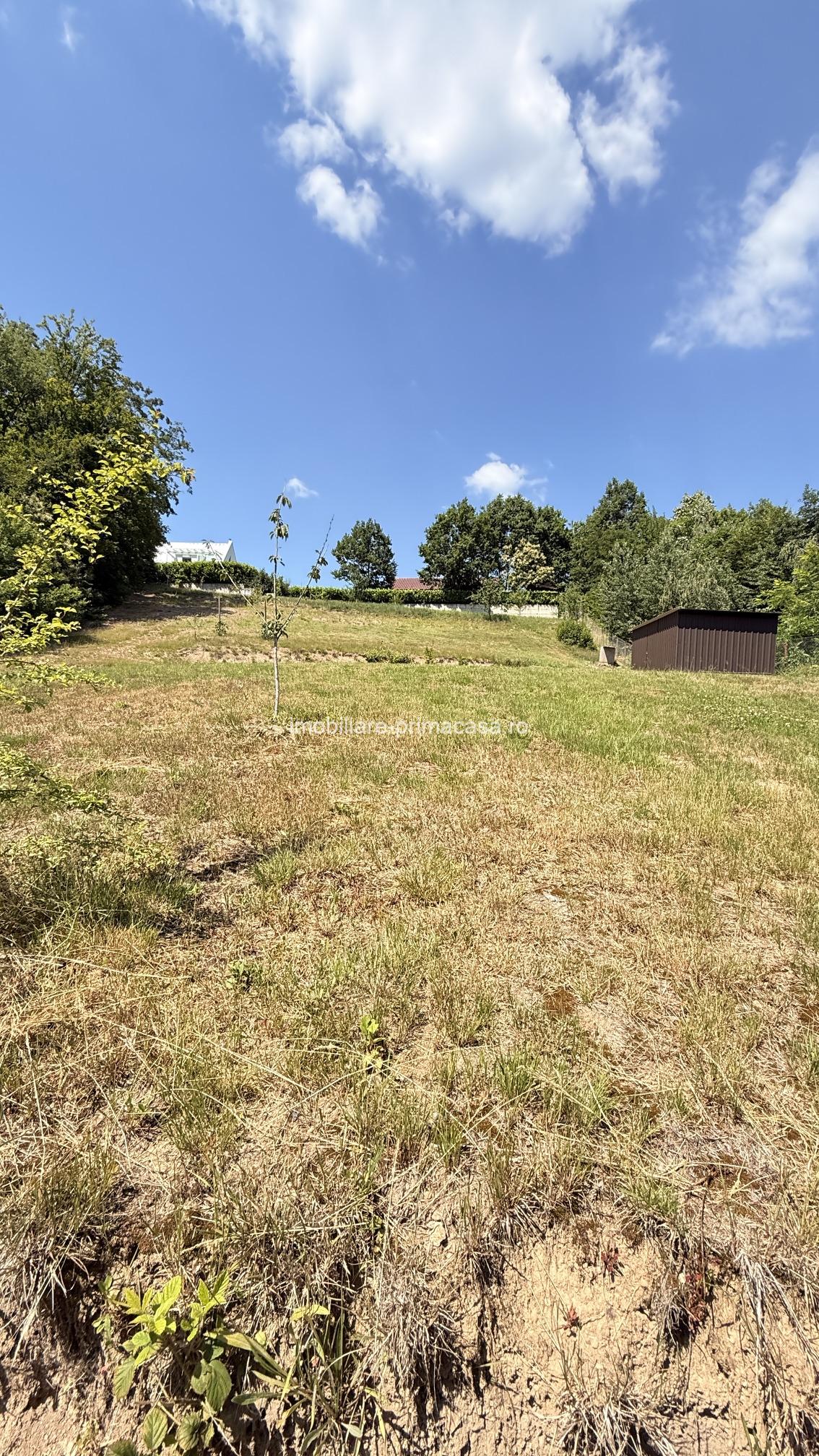 Valea Rosie, teren intravilan 3434mp, langa padure. - imagine 5