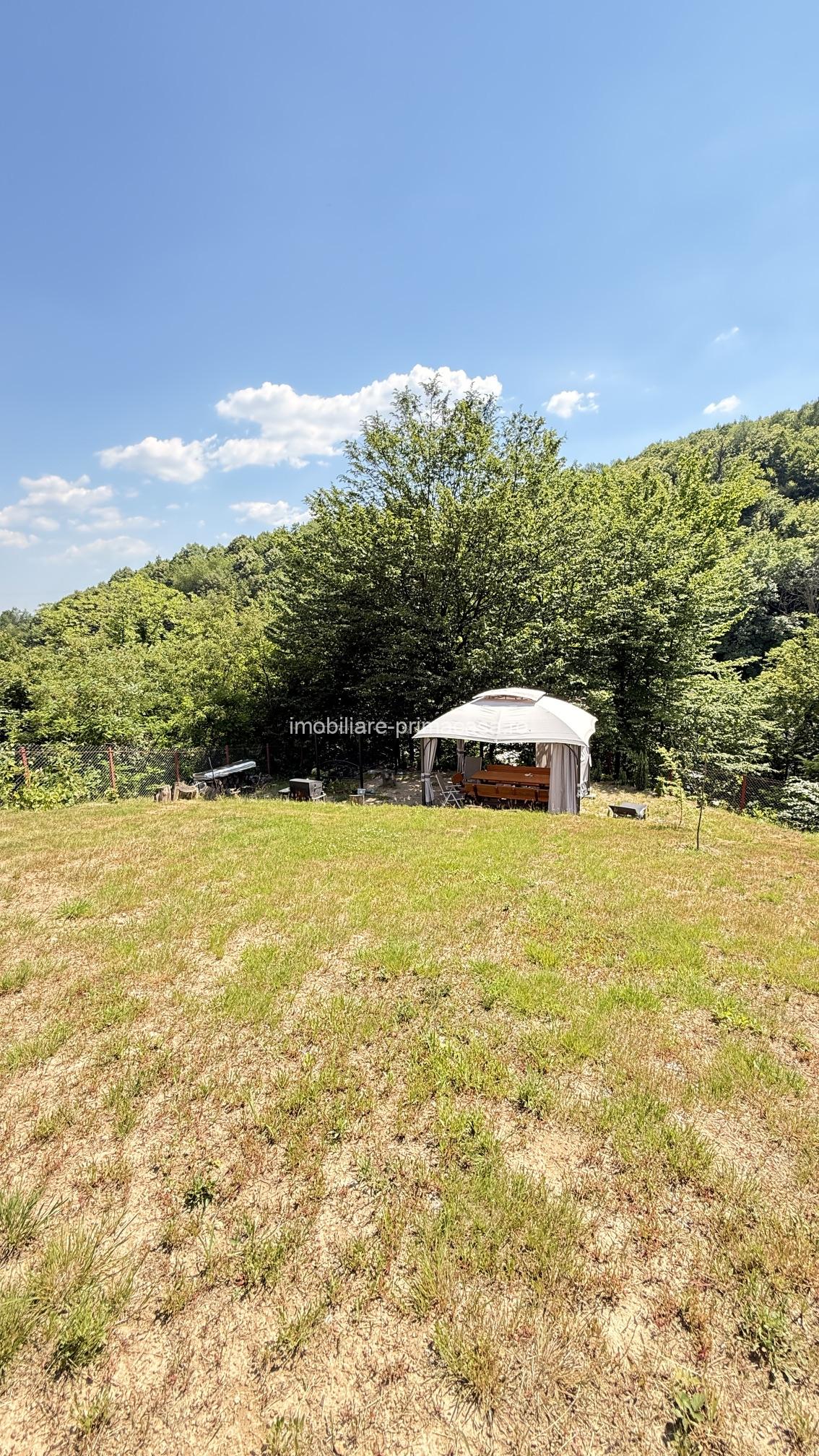 Valea Rosie, teren intravilan 3434mp, langa padure. - imagine 4