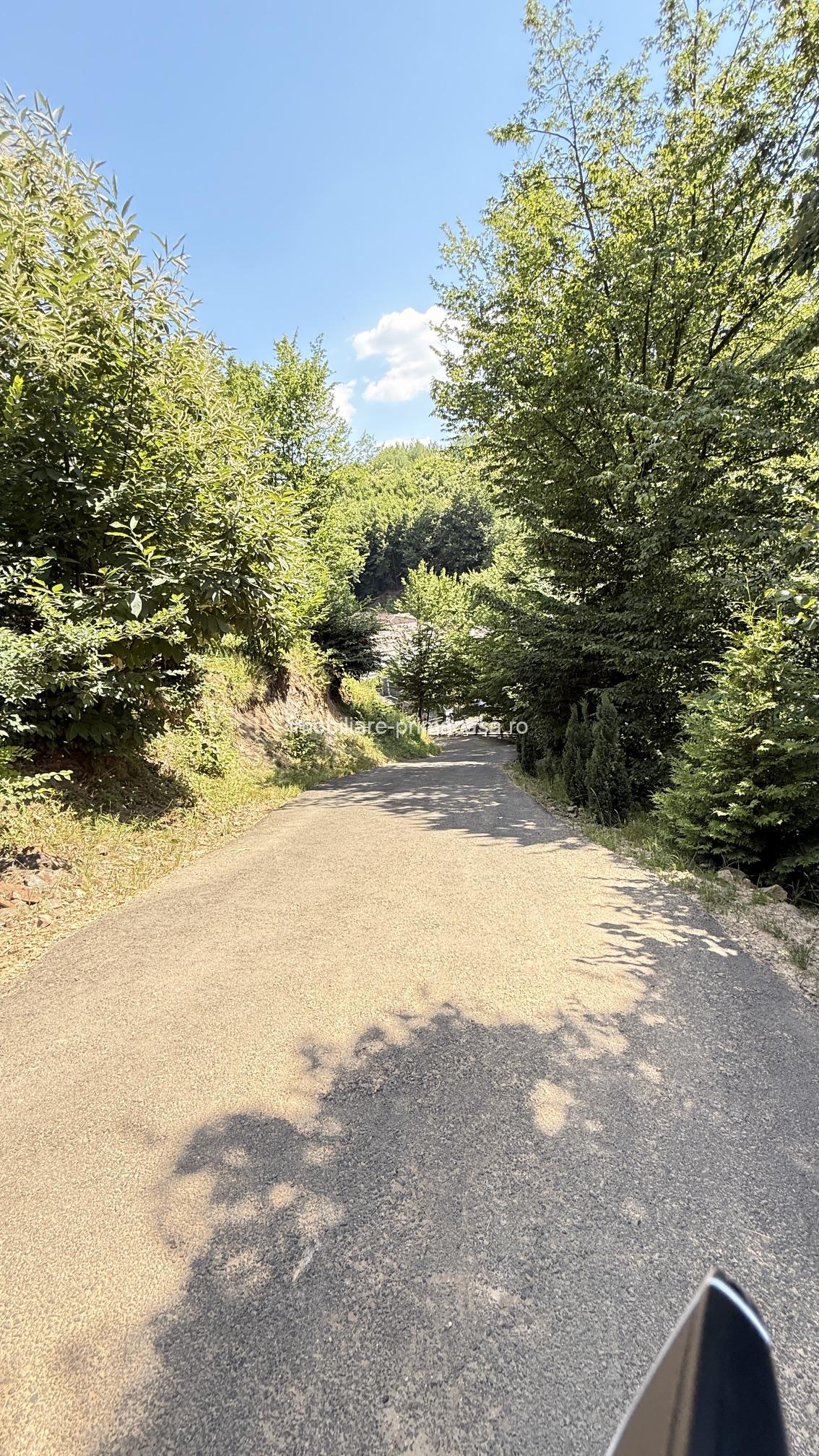 Valea Rosie, teren intravilan 3434mp, langa padure. - imagine 3