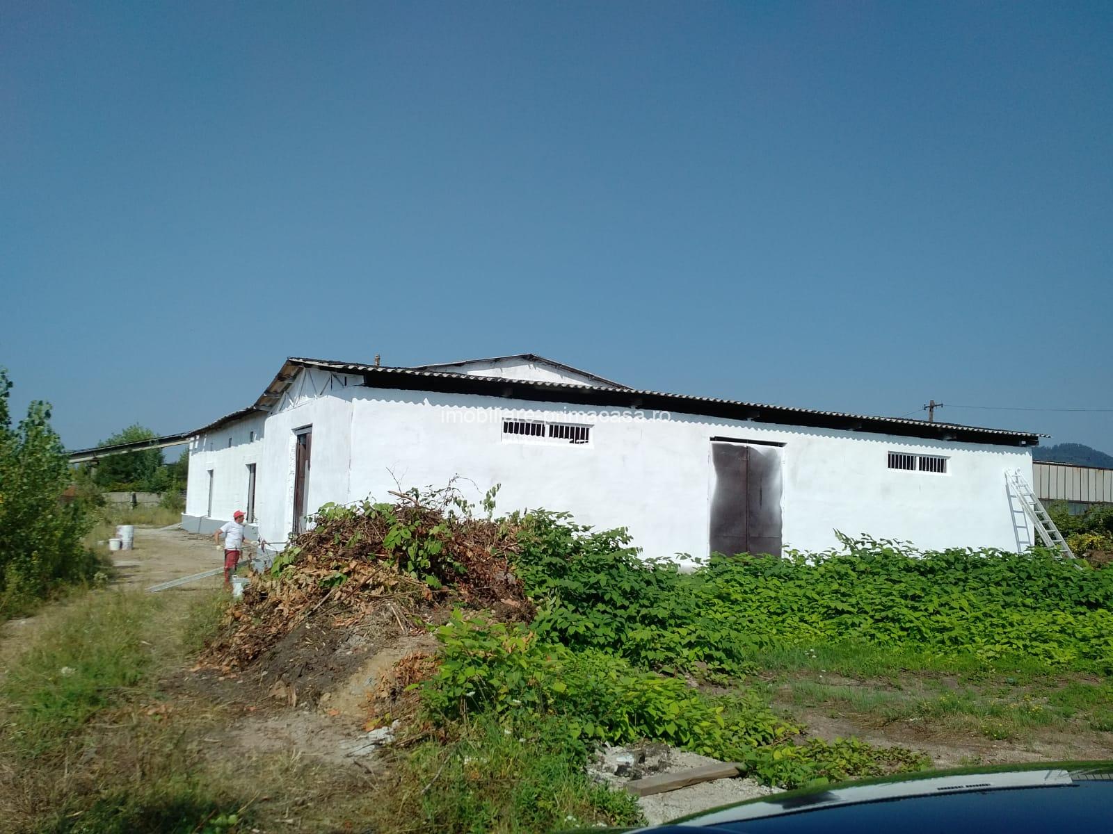 Hală industrială + teren 2.716 mp de vânzare în Baia Mare | Zonă industrială | 349.000 € - imagine 6