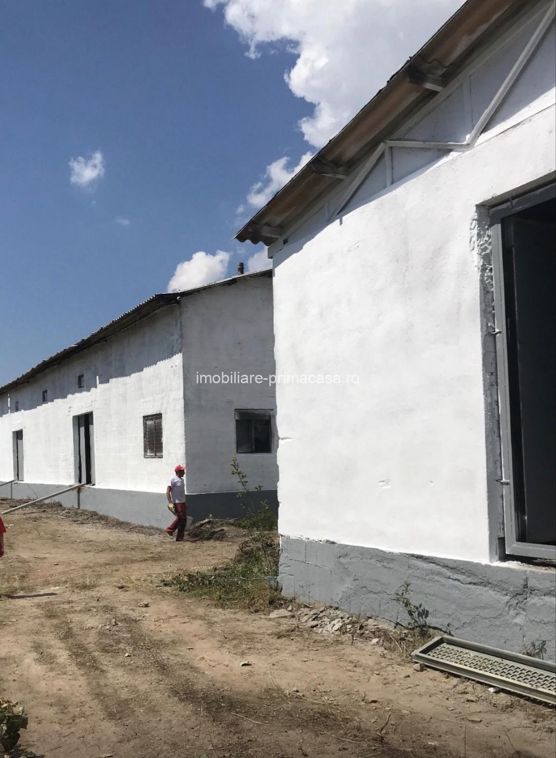 Hală industrială + teren 2.716 mp de vânzare în Baia Mare | Zonă industrială | 349.000 € - imagine 4