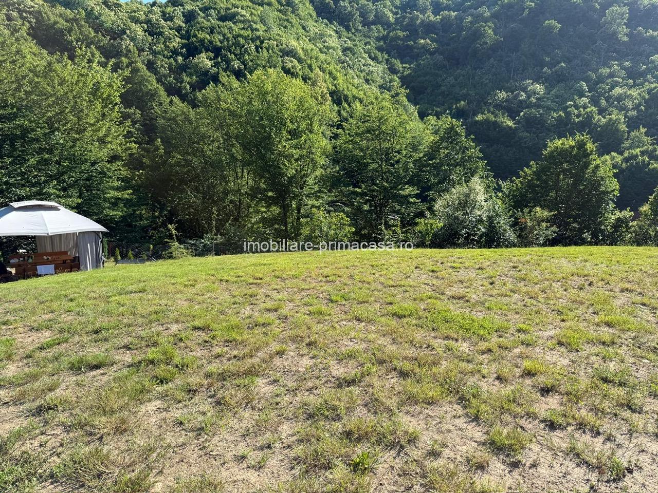 Valea Rosie, teren intravilan 3434mp, langa padure. - imagine 9