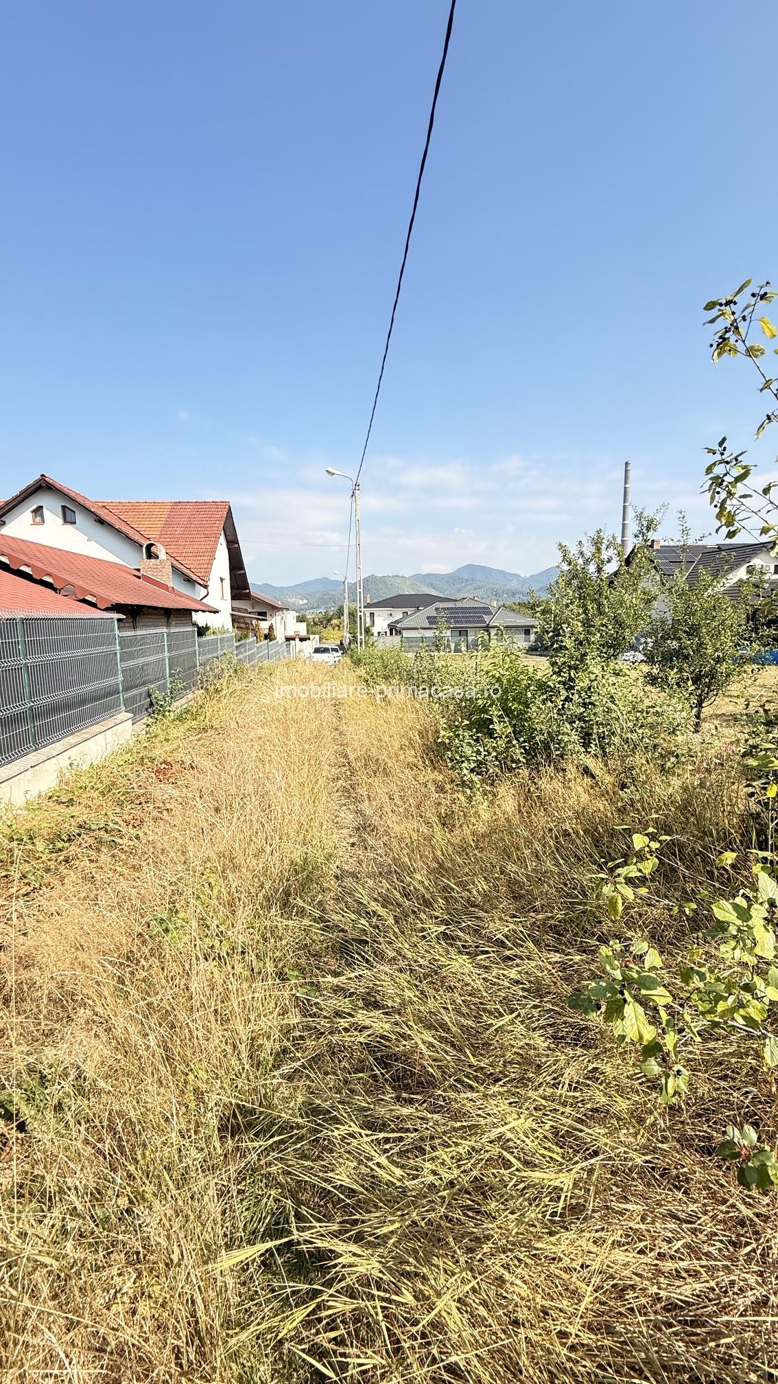 ZONA CASTEL TRANSILVANIA -str. VRANCEI -casa parter la rosu cu teren 1678mp - imagine 21