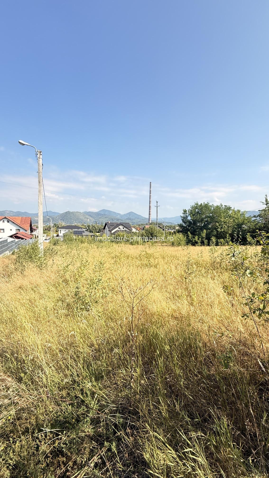 ZONA CASTEL TRANSILVANIA -str. VRANCEI -casa parter la rosu cu teren 1678mp - imagine 17