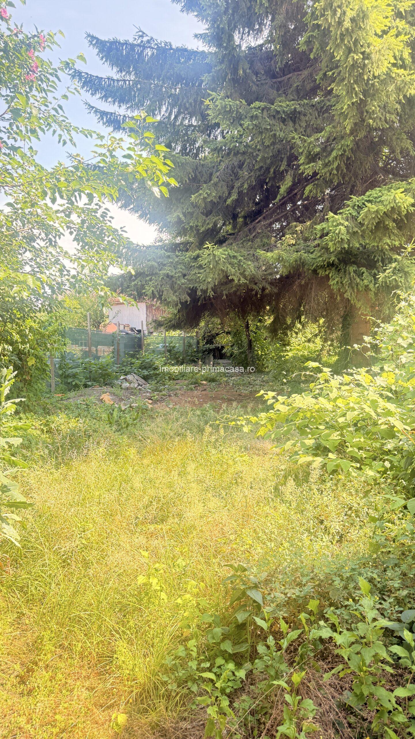 Casă Centrul Vechi Istoric Baia Mare – teren 385 mp! - imagine 11