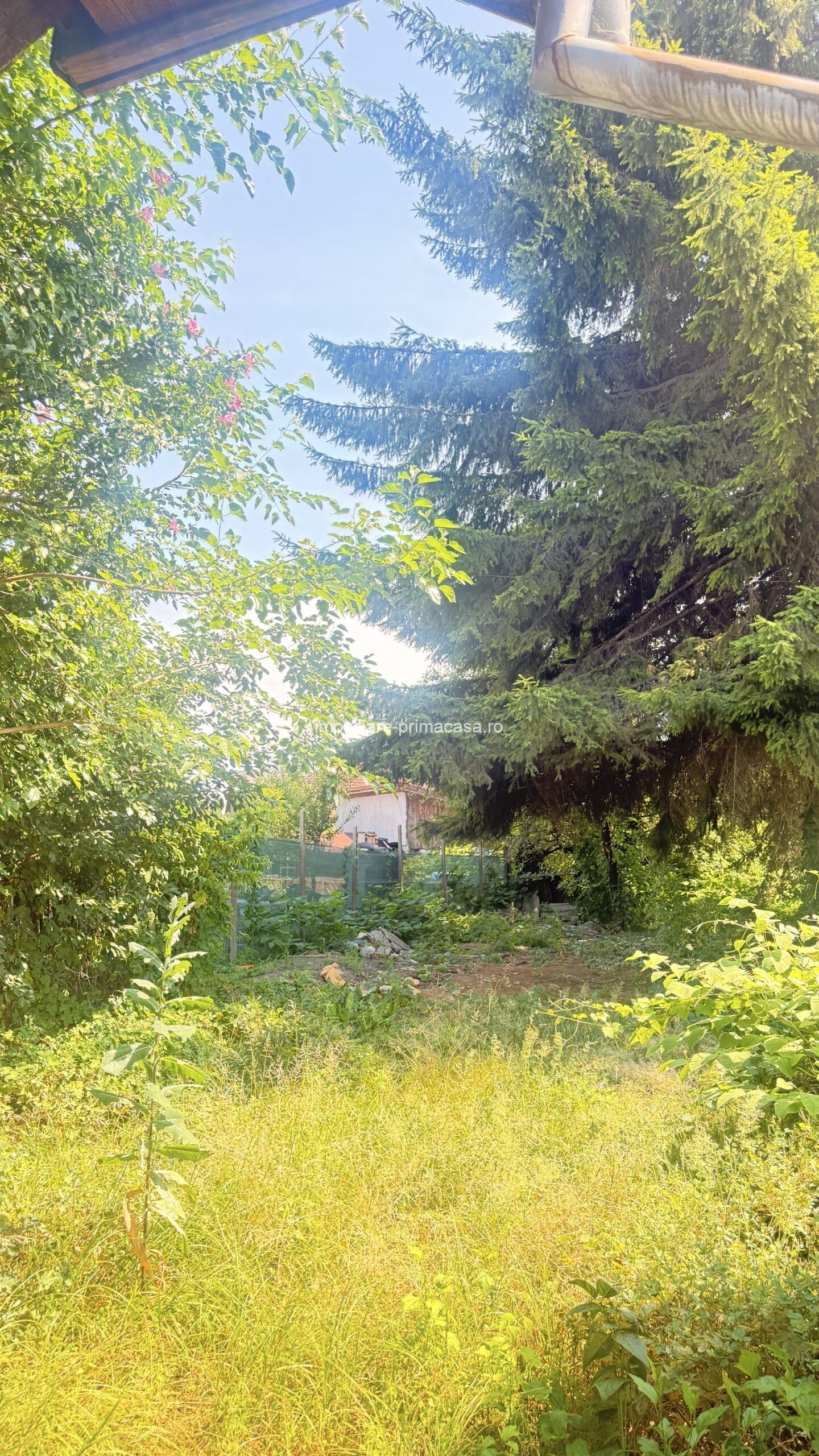 Casă Centrul Vechi Istoric Baia Mare – teren 385 mp! - imagine 10